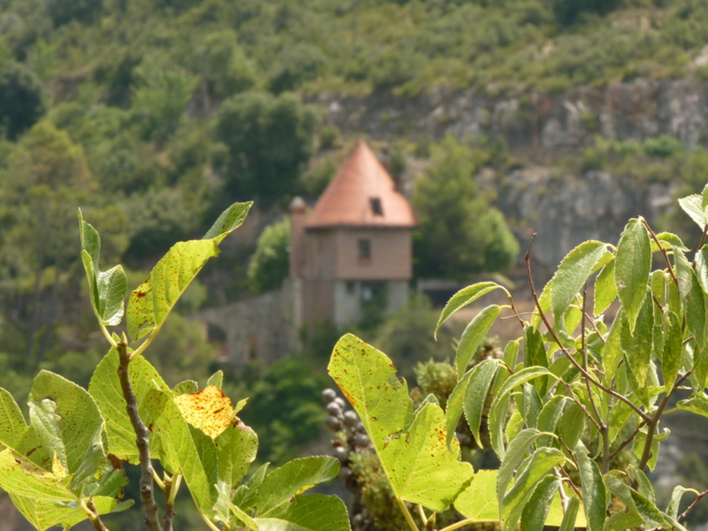 No s'ha trobat l'arxiu